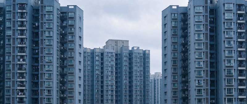 政策红利显现